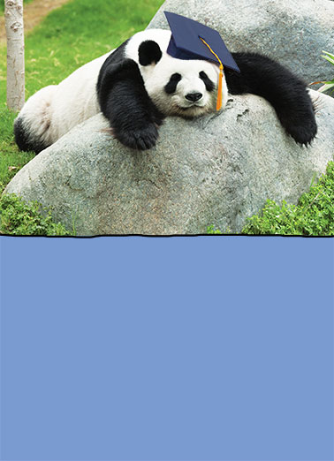 Load Off Funny Graduation   Take a load off Grad! | Panda, bear, Grad, graduate, graduation, congratulations, funny, animals, cap, passed out, drunk, tired, relaxed, lol, meme, joke, cute, sweet, black and white, photo Take a load off, Grad - you finally did it! Congratulations